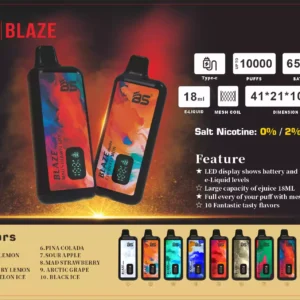 BREZE STIIK BS BLAZE 10000 Puffs Einweg Vape leichtes Design für Portabilität