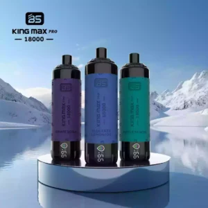 BREZE STIIK BS Kingmax Pro 18000 Puffs Wegwerf Vape 0% 2% 5% Nikotin 