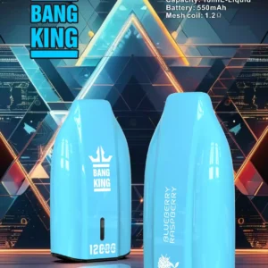 Bang King 12000 Puffs Einwegverdampfer Premium Prefilled Liquid & Enhanced Coil