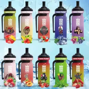 Bang Tn Wasserflasche 12000 Puffs Einweg Vape mit 20ml E-Liquid und Mesh Coil