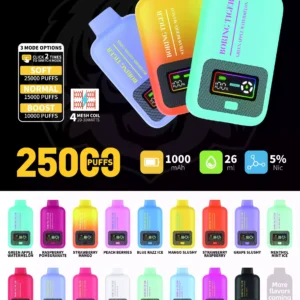 Boring Tiger 25000 Puffs – High-Capacity Disposable Vape with Advanced Mesh Coil