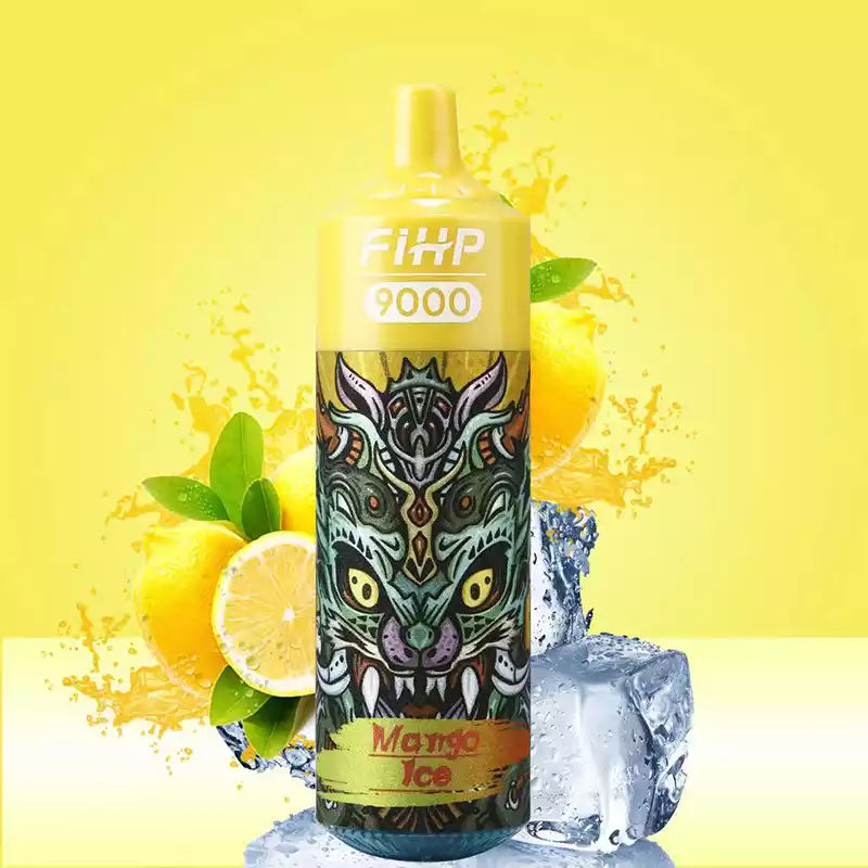 FIHP 9000 puffs Single-Use Vape 2% 5% Nikotin mit wiederaufladbarer Batterie (2) FIHP 9000 puffs Single-Use Vape 2% 5% Nikotin mit wiederaufladbarer Batterie (2)