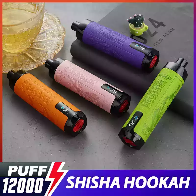FIHP Shisha Hookah 12000 Puffs Einweg Vape Hohe Kapazität, reiche Aromen & LED-Anzeige (10) FIHP Shisha Hookah 12000 Puffs Einweg Vape Hohe Kapazität, reiche Aromen & LED-Anzeige (10)