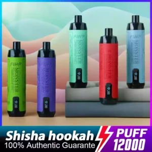 FIHP Shisha Hookah 12000 Puffs Einweg Vape Hohe Kapazität, reiche Aromen & LED-Anzeige