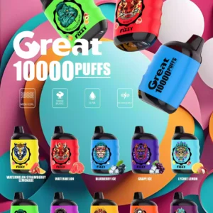 Fizzy Great 10000 Puffs Hohe Kapazität Einweg Vape mit Bold Aromen