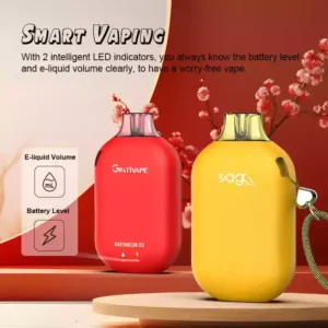 Grativape Boom 9000 Puffs Disposable Vape with Advanced Mesh Coil and 14ml Premium E-liquid