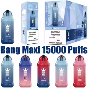  Trendy Bang 15000 Puffs Disposable Vape with 21ml Prefilled Liquid and Mesh Coil 
