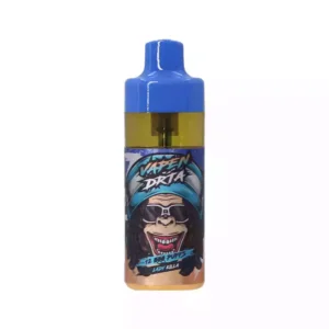 VAPEN TITAN 10000 PUFFS Single-Use E-Cigarette with Refillable E-Liquid Design