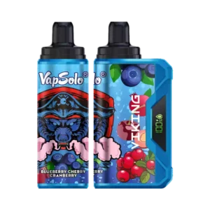 Vapsolo Viking 12000 Puffs – High-Capacity Disposable Vape with Mesh Coil Technology