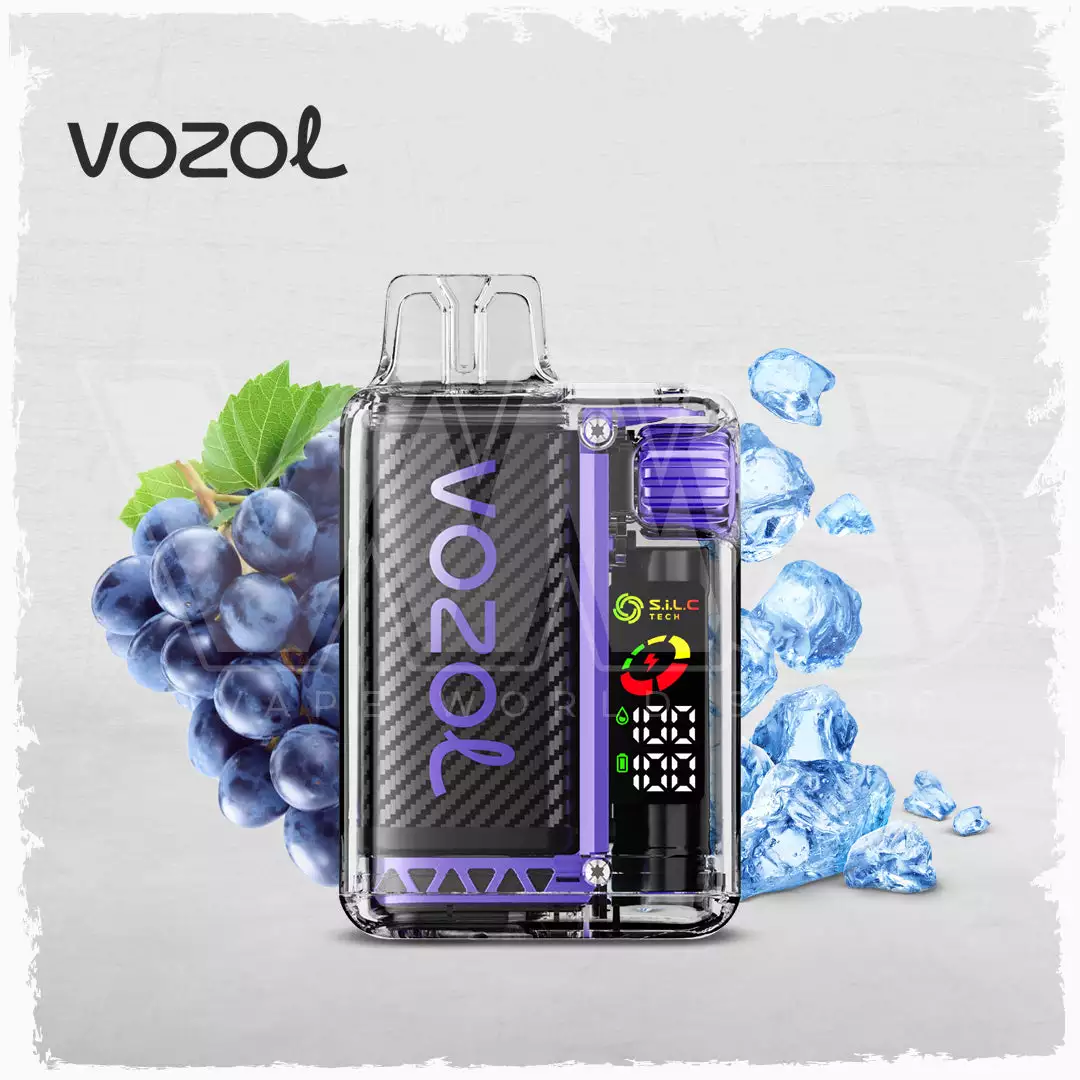 Vozol Vista 20000 Puffs LCD Display, Dual Mesh Coil, Disposable Vape Pen (12) Vozol Vista 20000 Puffs LCD Display, Dual Mesh Coil, Disposable Vape Pen (12)