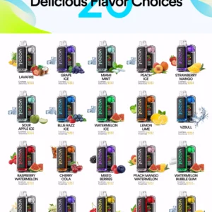 Vozol Vista 20000 Puffs  LCD Display, Dual Mesh Coil, Disposable Vape Pen