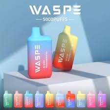 WASPE 5000 boccate di vapore usa e getta con bobina a rete e E-liquid premium