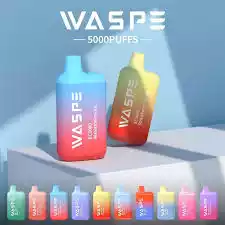 WASPE 5000 Puffs Disposable Vape with Mesh Coil and Premium E-liquid (5) WASPE 5000 Puffs Disposable Vape with Mesh Coil and Premium E-liquid (5)