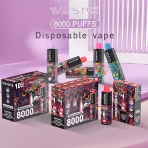 WASPE 8000 Puffs Vape usa e getta con bobina a rete e E-liquido premium