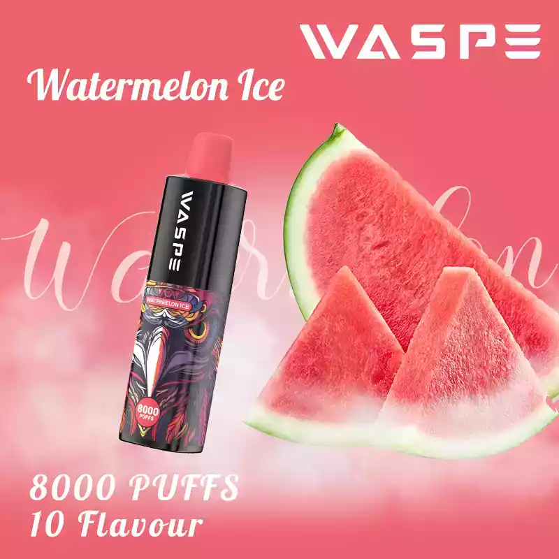 WASPE 8000 Puffs Disposable Vape with Mesh Coil and Premium E-liquid (17) WASPE 8000 Puffs Disposable Vape with Mesh Coil and Premium E-liquid (17)