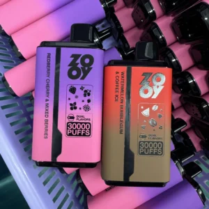 ZOOY Twins 30000 Puffs Disposable Vape  Dual Flavor Switching with Smart Display