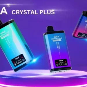 WGA 20K Puffs Disposable Vape mit Mesh Coil und Typ-C Aufladung