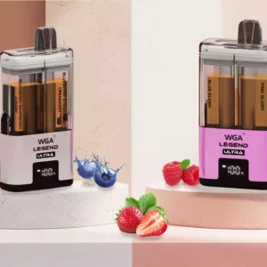 WGA 30K Puffs Dual-Flavor Disposable Vape mit Display und Mesh Coil
